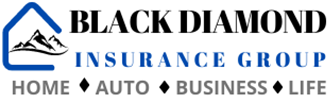 Black Diamond Insurance Group Logo